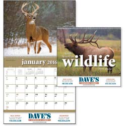 13 Month North American Wildlife Wall Calendar