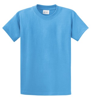 Port Authority 6.1 Ounce 100% Cotton Heavyweight T-Shirt